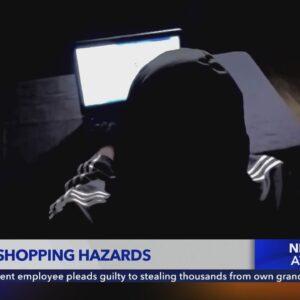 Police warn of holiday shopping hazards