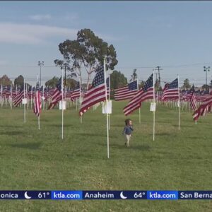 Thousands of flags fill fields across Southern California for Veterans Day