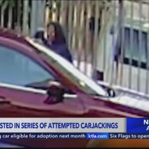 Serial carjacking suspect in L.A. taken into custody