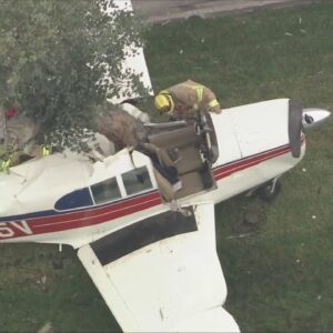 Small plane slams into tree in Fullerton