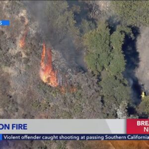 Vegetation fire consumes hillside in Pacific Palisades