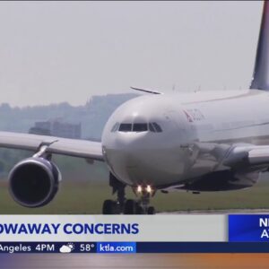 Another unticketed passenger attempts to stow away on a Delta Airlines flight