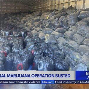 Over $100 million worth of marijuana found in San Bernardino County drug bust