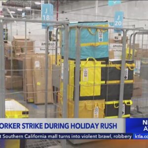 Amazon workers strike during holiday rush