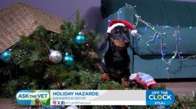 Ask the Vet: Holiday Hazards