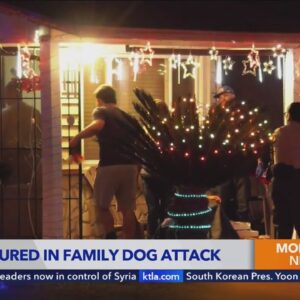 Attack by family dog leaves 3 injured in Norwalk home