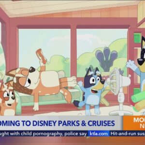 ‘Bluey’ coming to Disney parks and cruise line