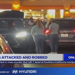 Citadel Outlet shoppers attacked, robbed in parking lot