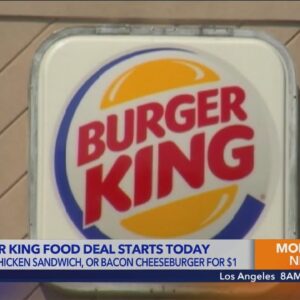 Burger King is giving away free chicken sandwiches and bacon cheeseburgers