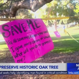 Fight to save historic oak tree in Pasadena