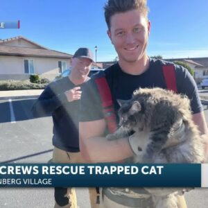 Fire crews make 'purr'fect rescue in Vandenberg Village