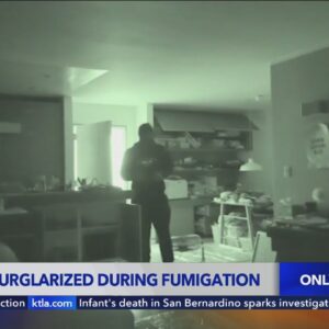 Residents angry after suspects burglarize condo building during termite fumigation