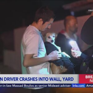 Hit-&-run driver abandons dog after crashing into wall in Mission Hills