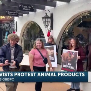 Animal Emancipation of S.L.O. protests to encourage “vegan” gift shopping on Black Friday