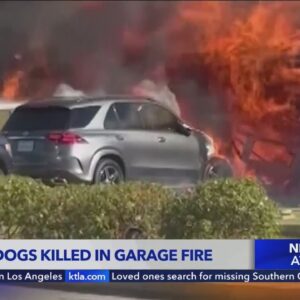 La Habra house fire leaves homeowner, 2 dogs dead