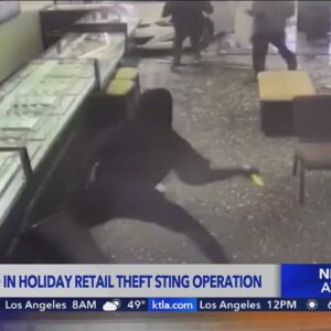 More than 100 arrested in retail theft operation in California