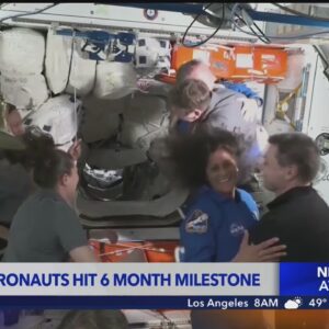 NASA's stranded astronauts hit 6 months in space, with 2 more to go