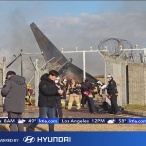 At least 124 killed as plane bursts into flames after skidding off runway at South Korea airport