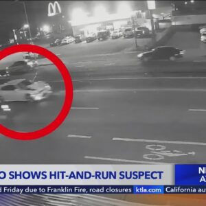 New details, footage of fatal hit-and-run driver in SFV