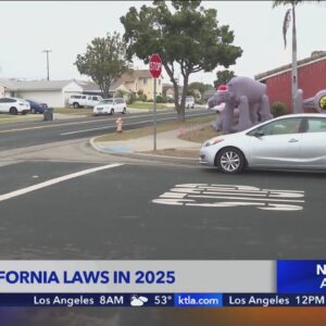 New laws going into effect in California in 2025