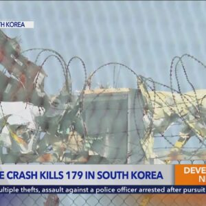 A plane crashes and bursts into flames while landing in South Korea, killing 179