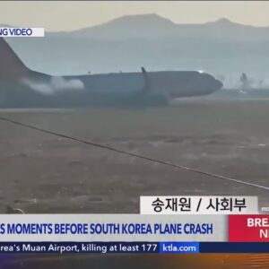 Plane crashes and bursts into flames while landing in South Korea, killing 179