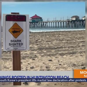 Shark warnings posted in Huntington Beach