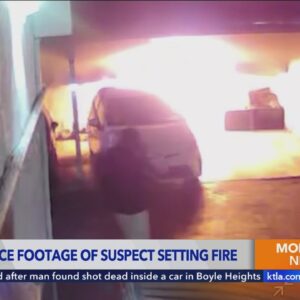 Surveillance video shows arsonist set carport on fire