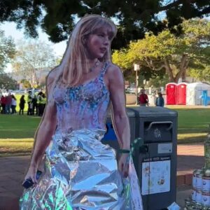 Trees made of canned goods honor Taylor Swift and others in Ventura