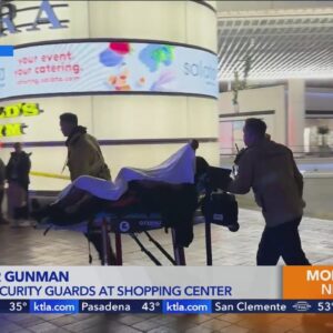 Two security guards shot at busy downtown Los Angeles mall