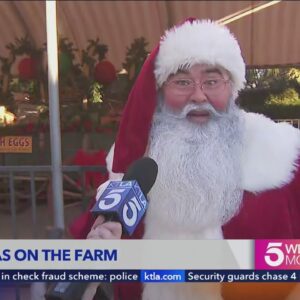 Underwood Family Farms hosts Christmas on the Farm 