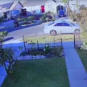 Video shows UPS driver stealing Apple Watch