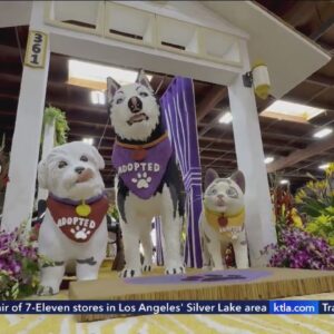 Volunteers put finishing touches on 2025 Rose Parade floats