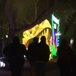 ZooLights Return to the Santa Barbara Zoo