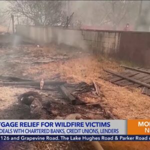 Revamped fire relief website, mortgage aid available for L.A. County wildfire victims