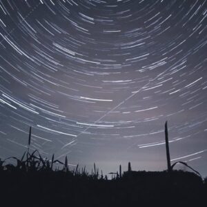 A year under the stars, timelapse videos capture the year month by month