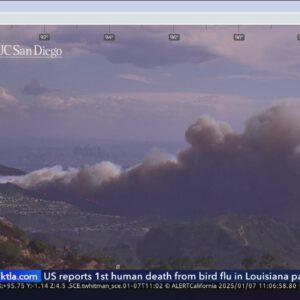 11:15 am Update: Brush fire erupts in Pacific Palisade