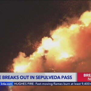 Brush fire breaks out near 405 Freeway in Sepulveda Pass