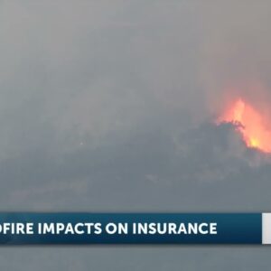 Scope of fire devastation in Los Angeles raises concerns over insurance