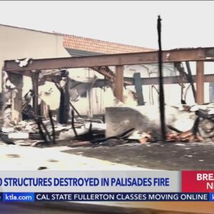 Daylight shows extent of devastation from the Palisades Fire