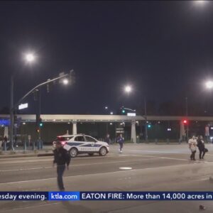 Disneyland cancels fireworks show due to windy conditions