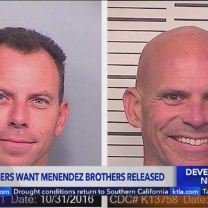 Family members want Menendez brothers released