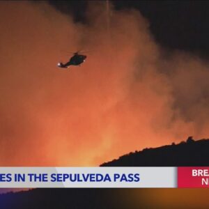 Forward progress stopped on Sepulveda Fire burning near Getty Center