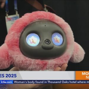 Fun Tech at CES 2025