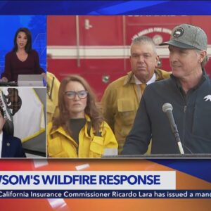 GOP Assemblyman Bill Essayli on Gov. Newsom's Wildfire Response