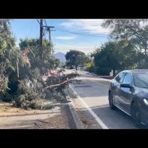 Heavy winds knock out power in Camarillo Heights