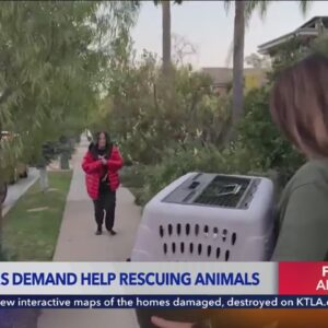 Help needed rescuing animals affected by SoCal wildfires