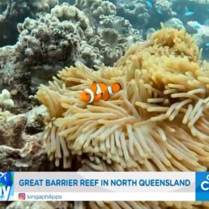 I Wanna Getaway: Queensland and the Great Barrier Reef