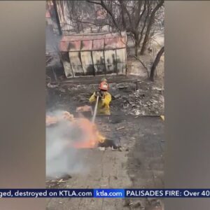 L.A. fire captain saves his neighborhood from wildfire