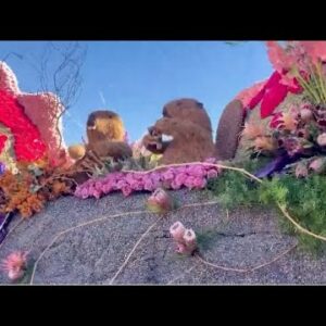 Cal Poly float wins Leishman Public Spirit Award at Pasadena Rose Parade